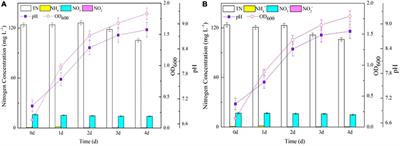 The nitrite reductase encoded by nirBDs in Pseudomonas putida Y-9 influences ammonium transformation